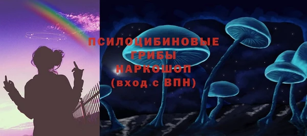 шишки Майский