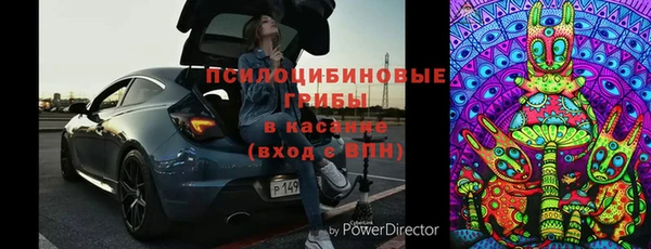 шишки Майский