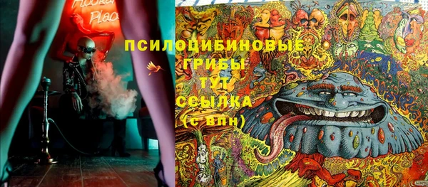 шишки Майский