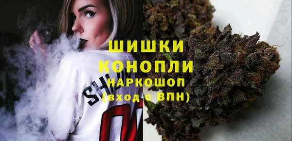 шишки Майский