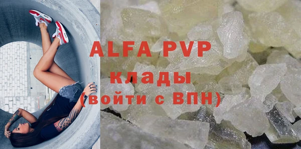 прущие грибы Верея