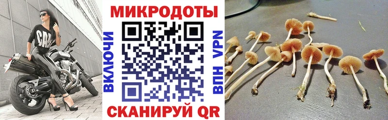 Псилоцибиновые грибы мухоморы продажа наркотиков Ува